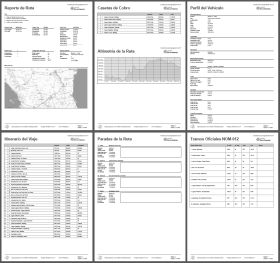 Reporte PDF